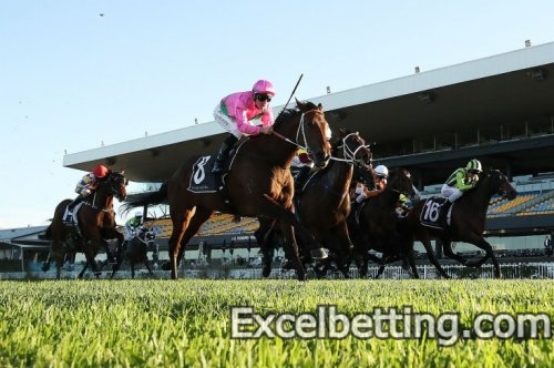 Horse Racing Betting Strategy: How To Increase Profits By Playing Dutch Schultz's System