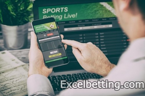 Sports bettor: tips for beginners and success stories